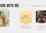 create dog ugc videos for pet brands using trained toy poodle
